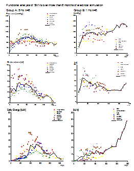 Druck, Schlagvolumen und Tagesenergie bei 5Hz und 1Hz